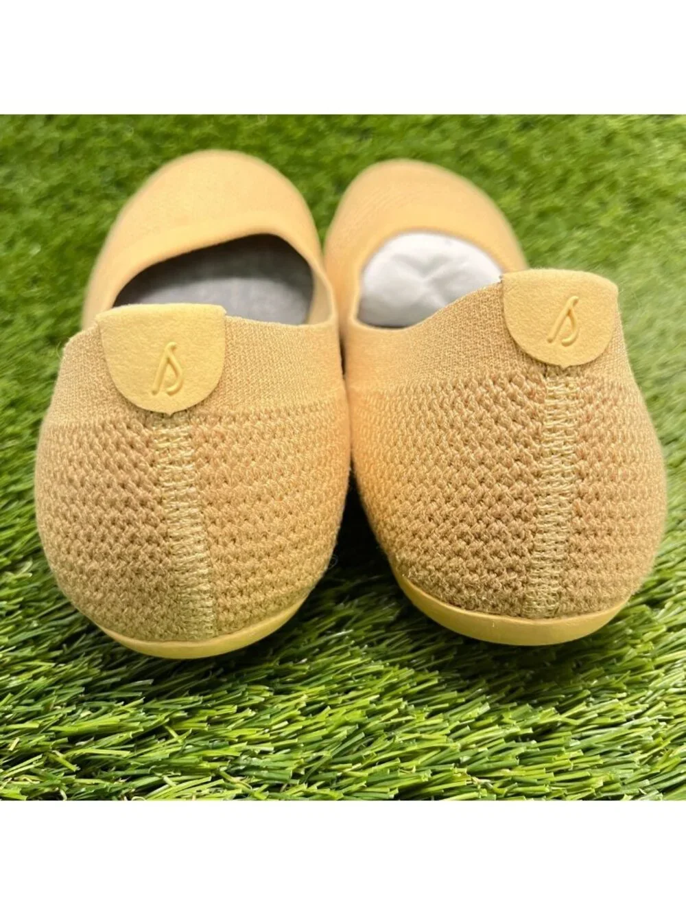 allbirds please review